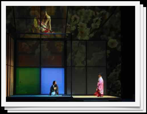 Beauty and Sadness
6 photos Beauty and Sadness
6 photos